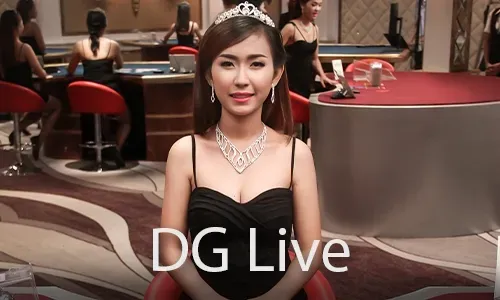 24/7 Live Support